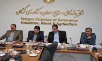 بررسی مشکلات 5 واحد‌ تولیدی گلستان در بیست و بیست ویکمین جلسه کارگروه تسهیل استان